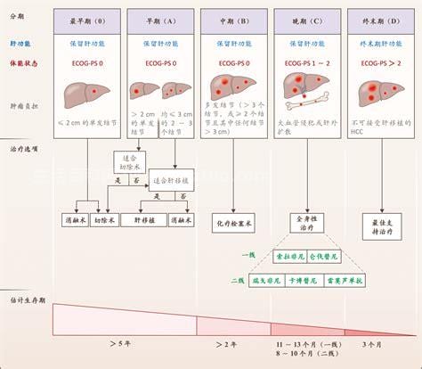 得了肝癌的人还能要小孩吗,女性肝