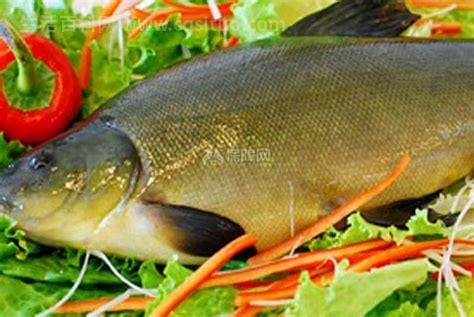 丁桂鱼有没有小刺丁桂鱼刺多吗可以清蒸吗,为什么丁桂鱼➳有两种颜色