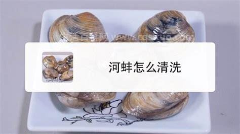 河蚌清理内脏图解,蚌壳肉里的脏东西怎么清理干净蚌壳肉♢里的脏