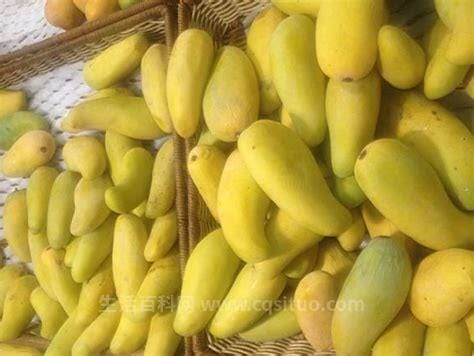 海南芒果品种排行榜,福建芒果品种