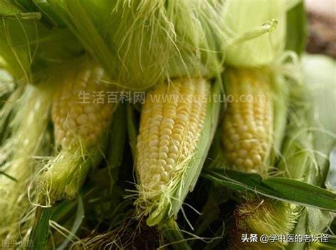 新鲜玉米须的功效与作用及食用方法,玉米须的功效与作用用法