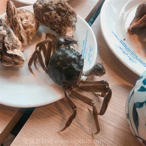 吃完螃蟹不能吃什么
