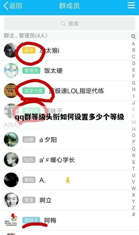 在哪里看qq群等级
