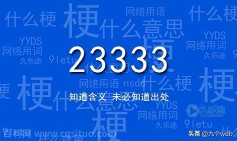 233333是什么意思