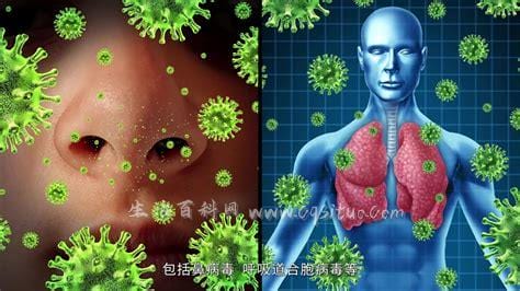 2022最近爆发的流感叫什么,甲流传