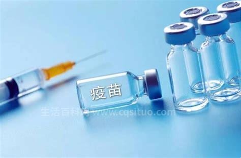 北京生物与科兴疫苗哪一个安全系数