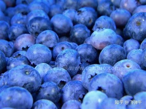 为何蓝色新鲜水果非常少，3个主要原