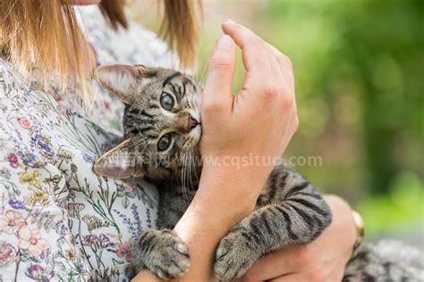 为何很多人被猫抓不接种疫苗，其实大多数人无需打疫苗