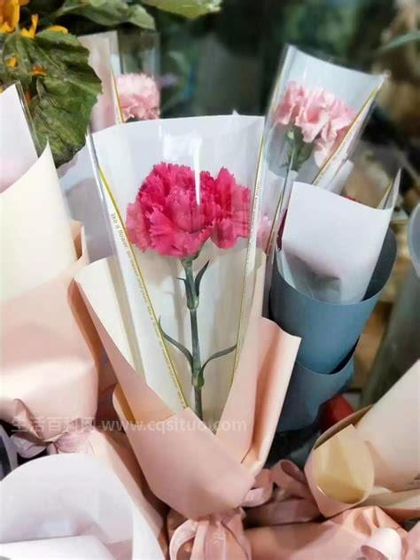 康乃馨适宜送什么礼物人送妈妈几支比较合适，11朵粉红色送母亲寓意美好
