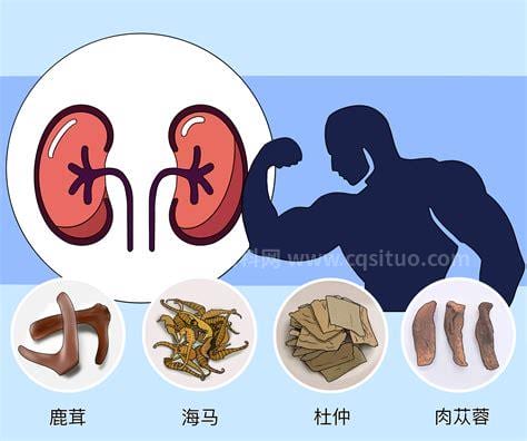 男人的壮阳药有哪些？8种壮阳中药供你选择！