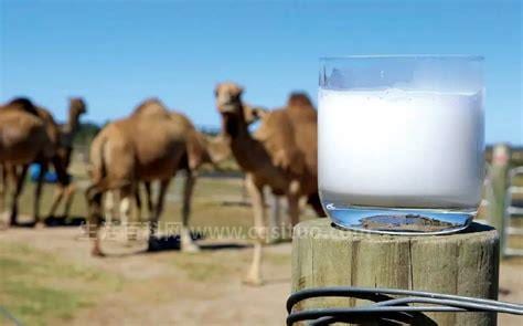 骆驼奶真的有降糖的功效吗，含天然胰