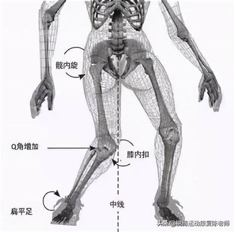 髌骨是哪个部位