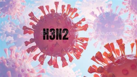 甲形h3n2病毒是什么病毒感染，粘病毒