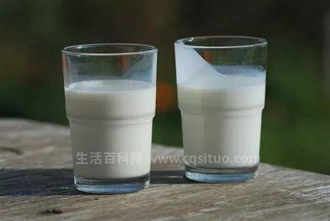 白脱牛奶是什么牛乳白脱牛奶和低脂