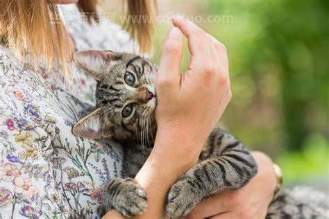 为何很多人被猫抓不接种疫苗，被健康的生活猫抓伤狂犬病毒几乎为0