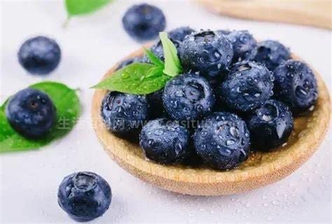 蓝莓胶囊的功效与副作用(蓝莓素胶襄作用和食用方法)