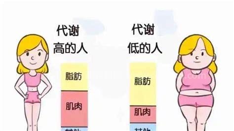 如何调理新陈代谢