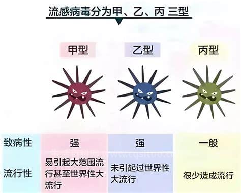 乙流和甲流的治疗