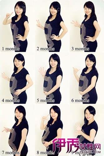 怀孕4个月肚子有多大