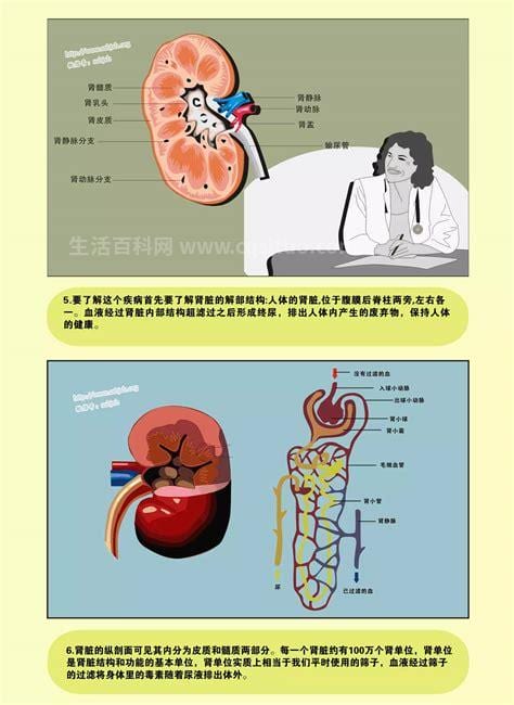 尿毒症是什么病