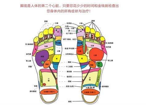 力荐11招脚底按摩法