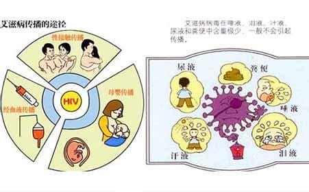 带套会不会感染艾滋病