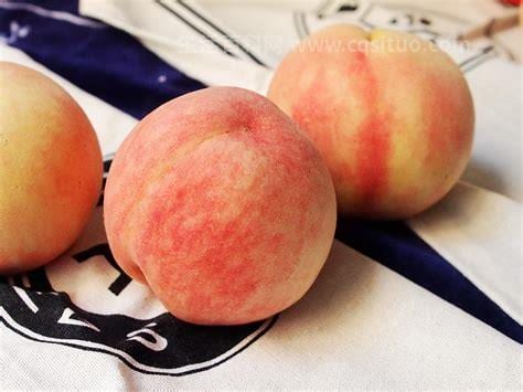胃不好可以吃水蜜桃子吗
