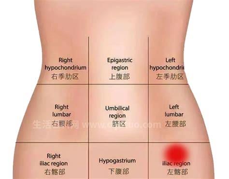 肚子痛是什么原因造成的