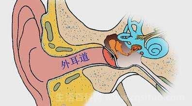 外耳道炎是指哪里