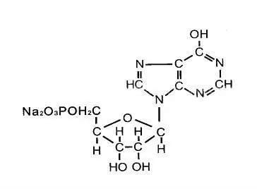呈味核苷酸二钠是什么对人体有害吗