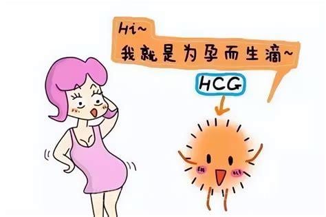 孕酮低是什么意思