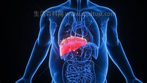 什么是肝脏的肿瘤