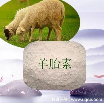 羊胎素是干什么的