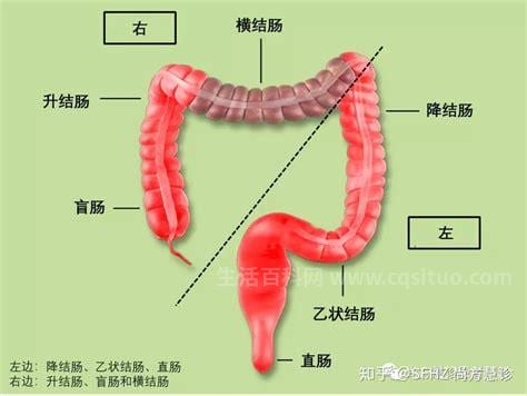 直肠肿瘤有良性的吗