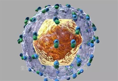 巨细胞病毒是什么病
