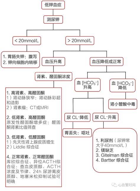 低钾血症为什么肌无力