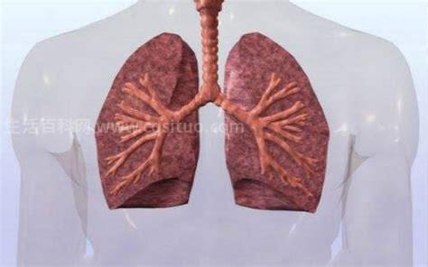 肺大泡能自己恢复吗