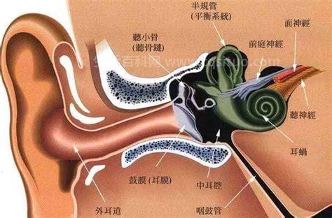 什么是慢性外耳道炎