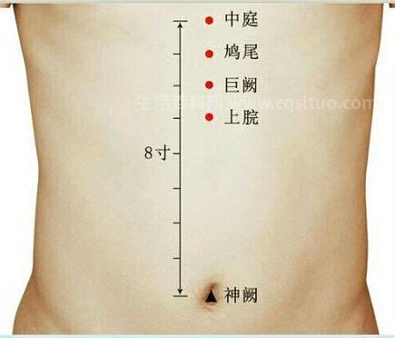 巨阙穴的准确位置图及作用