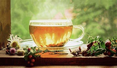 夏季喝什么茶消暑 消暑养心不妨多喝这四款茶