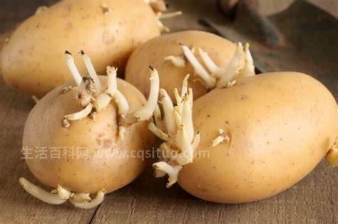 发芽土豆去掉芽能吃吗