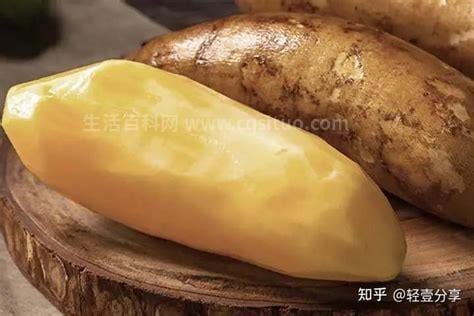 雪莲果的功效与作用、禁忌和食用方