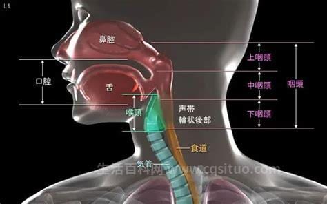 如鲠在喉是什么病怎么治疗