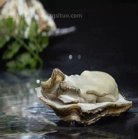 龙骨牡蛎的功效与作用