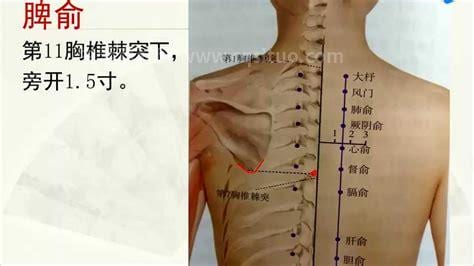 脾俞穴的准确位置图解