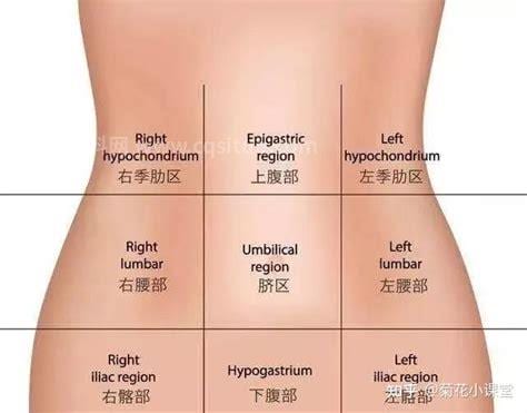 肚子左边疼是怎么回事