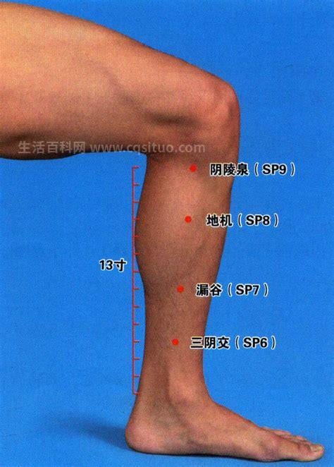 阴陵泉穴位的准确位置图，阴陵泉穴怎