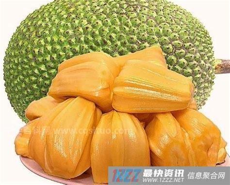 菠萝蜜不适合什么人吃