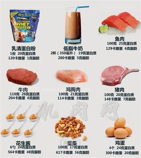 蛋白质含量高的食物