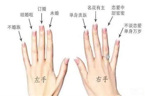 无名指是哪个手指